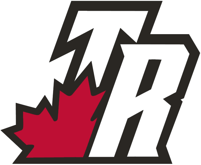 Toronto Raptors 2003-2008 Alternate Logo fabric transfer